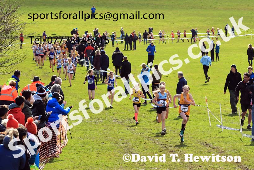 Girls Under-13s 2022 CAU Inter Counties Cross Country, Prestwold Hall, Loughborough.  Photo: David T. Hewitson/Sports for All Pics